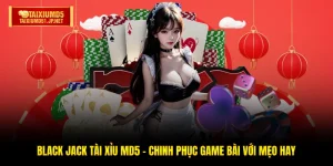 Black Jack Tài Xỉu MD5 - Chinh Phục Game Bài Với Mẹo Hay