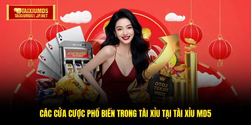 Các cửa cược phổ biến trong Tài Xỉu tại Tài Xỉu MD5